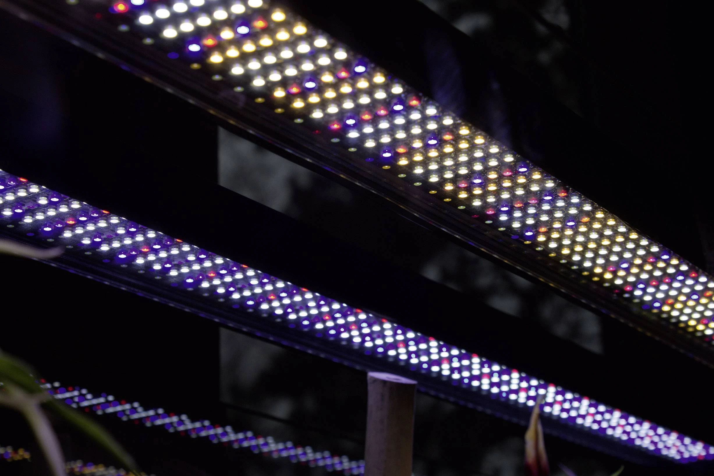 Osvjetljenje akvarija