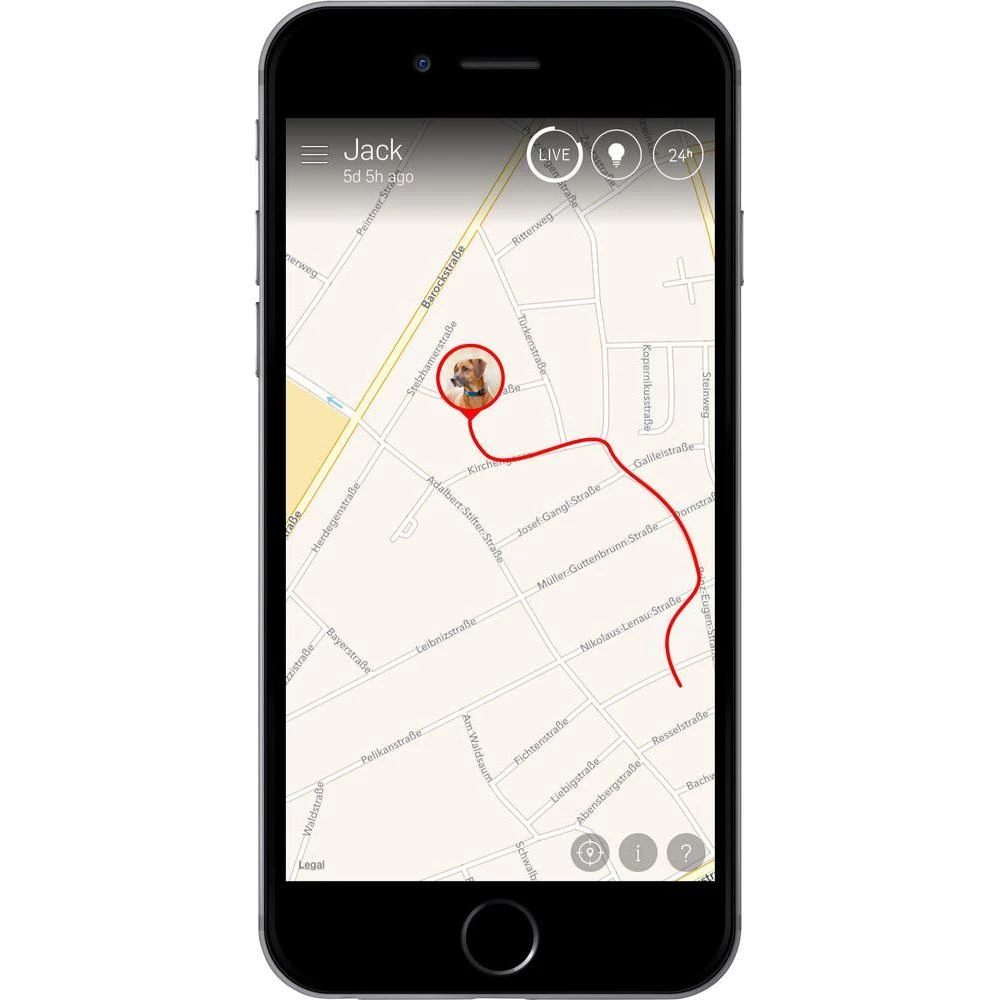 Conrad Product Image