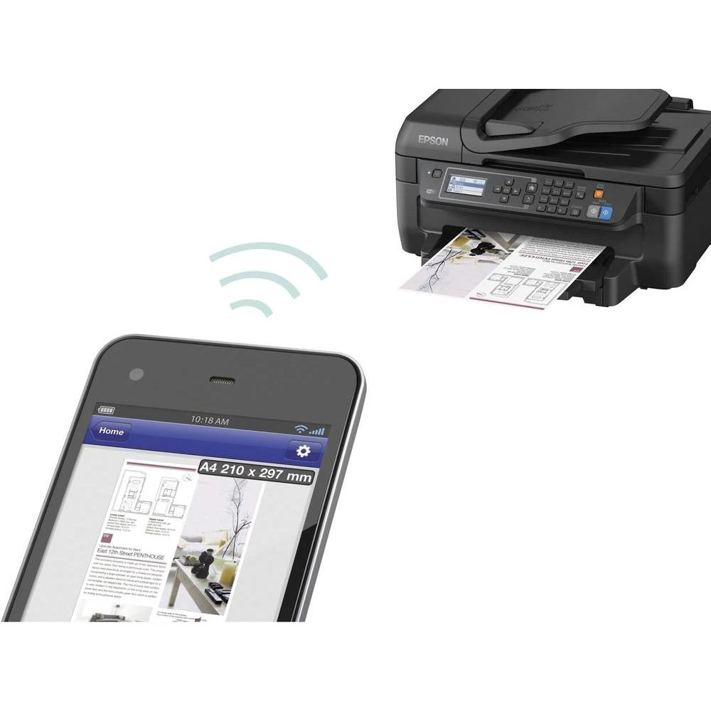 Conrad Product Image