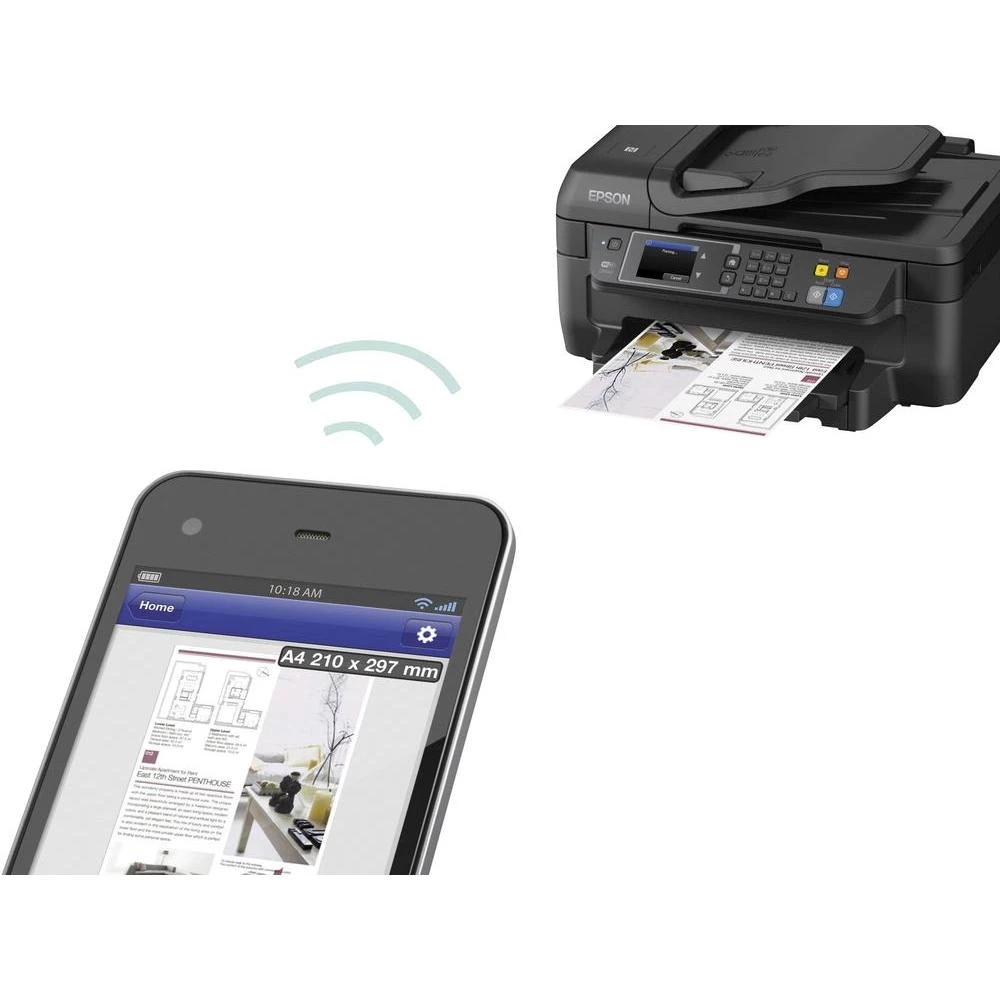 Conrad Product Image