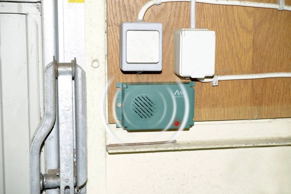 Conrad Product Image