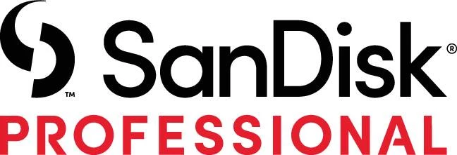 SanDisk Professional