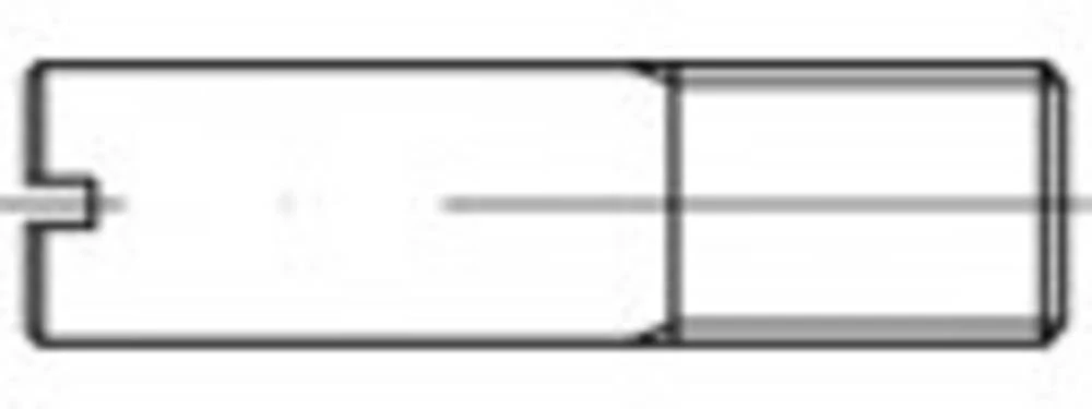 Svornjak (D) 25 mm Čelik Galvansko pocinčani TOOLCRAFT TO-5394441 100 ST slika