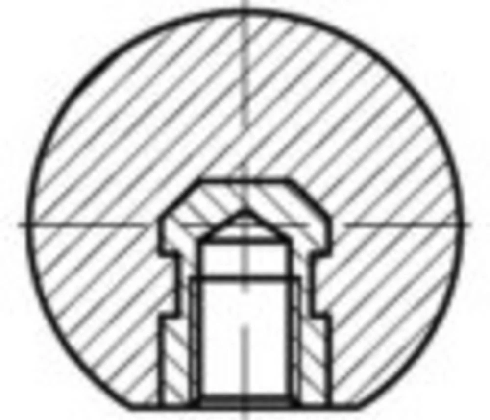 TOOLCRAFT DIN 319 plastični oblik C crne kutne kugle, C (bez umetka) s unutarnjom dimenzijom: 25 M 6 25 ST slika