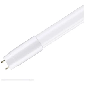 Paulmann LED cijev Energetska učinkovitost 2021: F (A - G) G13 T8 11 W toplo bijela (Ø x V) 27 mm x 604 mm 1 St. slika