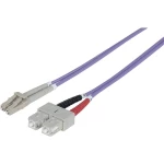 Staklena vlakna Svjetlovodi Priključni kabel [1x Muški konektor LC - 1x Muški konektor SC] 50/125 µ Multimode OM4 3 m Inte