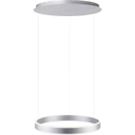 LED viseća svjetiljka 60 W Toplo-bijela, Neutralno-bijela, Dnevno svjetlo-bijela Paul Neuhaus ARINA 8361-55 Plemeniti čelik