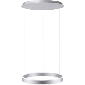 LED viseća svjetiljka 60 W Toplo-bijela, Neutralno-bijela, Dnevno svjetlo-bijela Paul Neuhaus ARINA 8361-55 Plemeniti čelik slika