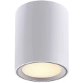 LED sastavna rasvjeta 8.5 W Toplo-bijela Nordlux 47550132 Fallon Bijela, Plemeniti čelik (brušeni) slika
