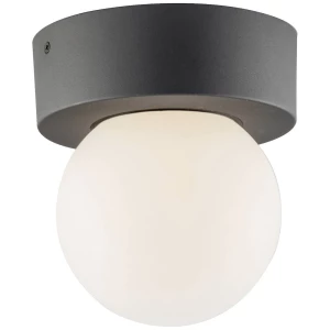 ECO-Light I-SKITTLE-PL Skittle PL vanjska stropna svjetiljka   E27   antracitna boja slika