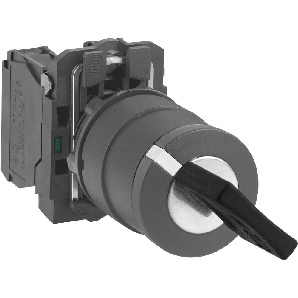 Prekidač s ključem Schneider Electric XB5AG41 1 ST slika