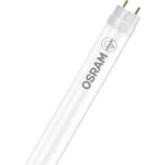 OSRAM LED Energetska učinkovitost 2021: C (A - G) G13  T8 kvg, vvg 15.6 W hladno bijela, dnevno svjetlo bijelo (Ø x D) 26.7 mm x 1212 mm  1 St.