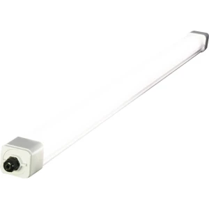 LED svjetiljka za vlažne prostorije LED LED fiksno ugrađena 22.5 W Neutralno-bijela Megaman DINO2 Siva slika