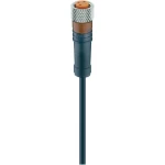 Priključni kablovi za senzor/aktor, konektor M8, ravni RKMV 3-224/5 M crna