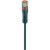 Priključni kablovi za senzor/aktor, konektor M8, ravni RKMV 3-224/2 M
