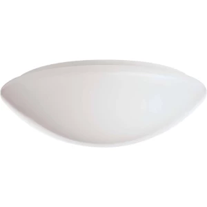 RIDI 420784 420784 LED stropna svjetiljka LED bijela slika