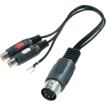 SpeaKa Professional-Audio adapter, 5-polni diodni muški konektor (DIN)/ 2 x činč