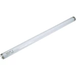 Plus Lamp UV svjetleće cijevi T8, 18 W G13 TVX18-24 18 W ravne 600m