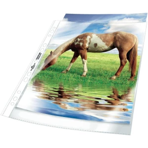 Kvalitetni uložni fascikl U, prozirni, 100 komada 2676-19 Durable slika