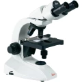 Mikroskop Leica Microsystems DM300, 4 x, 10 x, 40 x, 100 x/imerzijsko ulje 1,25, slika