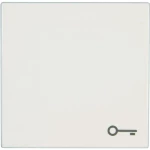 Jung poklopac sa simbolom ''Ključ'' LS 990, LS design, LS plus alpsko bijela LS