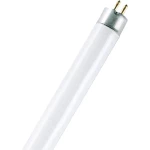 Neonska sIjalica 288 mm OSRAM 230 V G5 8 W hladno-bijela KEU: B Neonska sIjalica