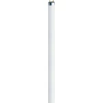 Štedna sIjalica Osram 288 mm 230 V G5 8 W hladno-bijela KEU: B Rasvjetna cijev 1