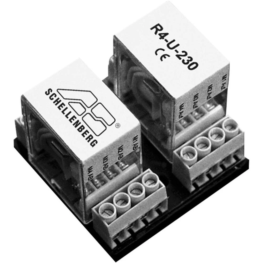 Centralni relej Schellenberg 24200