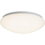 LED stropna svjetiljka 12 W toplo-bijelo Brilliant Fakir G94246/05 bijela