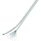 Mrežni kabel CAT 6 H21204C17 Conrad U/UTP 8 x 2 x 0.196 mm, bijela, 10 m