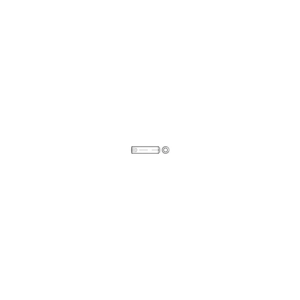 Navojni zatici DIN 916 40 mm nehrđajući čelik A1/A2 M6 25 kom. slika