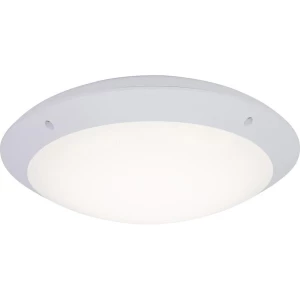 LED vanjska stropna svjetiljka Brilliant G96053/05 Medway 12 W neutralno-bijela bijela slika