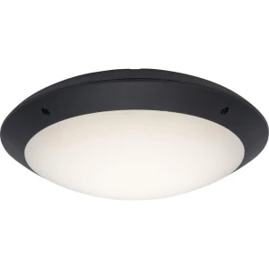 LED vanjska stropna svjetiljka Brilliant G96053/63 Medway 12 W neutralno-bijela antracit slika