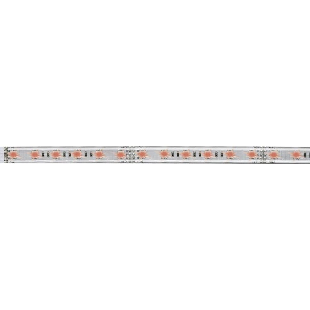 LED traka, produžetak s utikačem 24 V 100 cm RGB Paulmann MaxLED 1000 70657