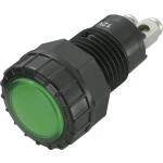 LED signalno svjetlo, zeleno 12 V/DC SCI R9-122L1-06-BGG4