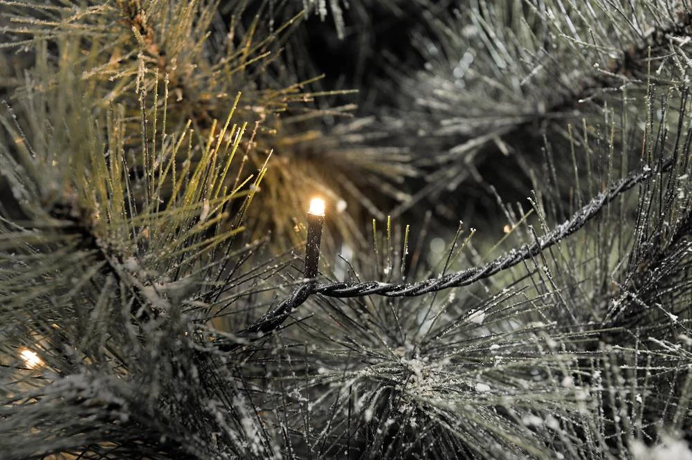 Mikro-Svjetleći LED lanci za vanjsku primjenu 40 LED, Bernstein, dužina osvjetljenja: 6.24 m Konstsmide 3610-800