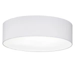 Fischer & Honsel 20009 stropna svjetiljka LED E14 160 W bijela