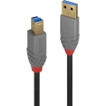 LINDY USB kabel USB 3.2 gen. 1 (USB 3.0) USB-A utikač, USB-B utikač 5.00 m crna  36744 slika