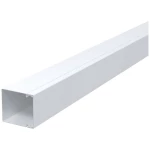 OBO Bettermann 6247194 kabelska kanalica držač kabela (D x Š x V) 2000 x 80 x 80 mm 1 St.