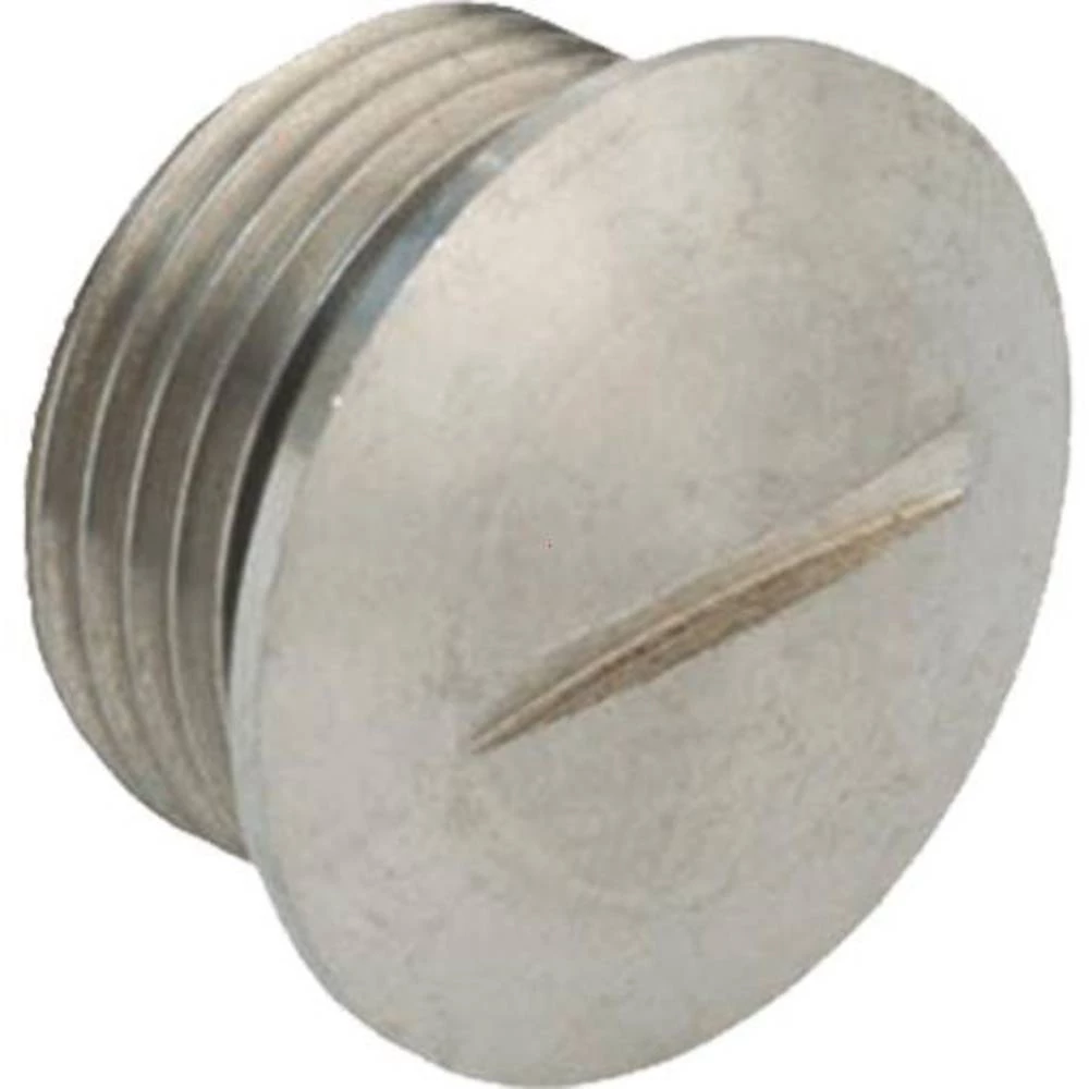 Kaiser Elektro 8750.96.11.08 slijepi vijak M50 metal 1 St. slika