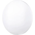 V-TAC VT-8424 MILKY 7607 vanjska stropna svjetiljka 24 W toplo-bijela, prirodno-bijela, hladno-bijela bijela slika