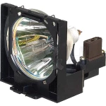 Zamjenska žarulja za Beamer Panasonic ET-SLMP116 Pogodno za robnu marku (video projektor): Panasonic