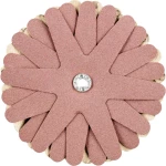 PFERD 42732168 KONJI zvijezde za mljevenje promjer 100 mm     10 St.