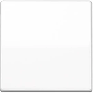 Jung 1-struki Umetak Tipkalo Alpsko-bijela boja ABAS591WW slika