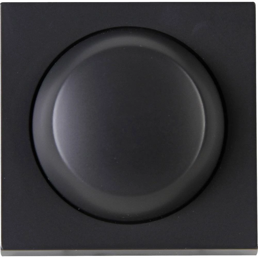 Kopp Poklopac Prigušivač svjetla ATHENIS Antracitna boja 373415184