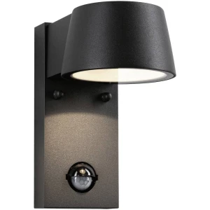 Paulmann Capea 94453 LED vanjsko zidno svjetlo s detektorom pokreta 6 W toplo bijel slika
