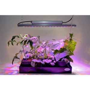 Venso LED svjetlo za rast biljaka  65 cm 230 V LED fiksno ugrađena 35 W  RGBw   1 St. slika