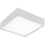 ECO-Light LED-KLIO-Q21 LED-KLIO-Q21 LED stropna svjetiljka bijela 36 W neutralna bij