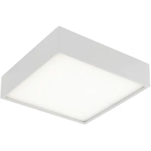 ECO-Light LED-KLIO-Q21 LED-KLIO-Q21 LED stropna svjetiljka bijela 36 W neutralna bij slika