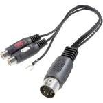 SpeaKa Professional-Audio adapter, 5-polni diodni muški konektor (DIN)/ 2 x činč ženski konektor